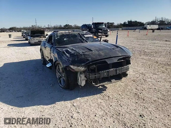 2019 Ford Mustang GT with VIN 1FA6P8CF2K5120723, listed as a Copart auction lot 87422134 with Not provided miles and Salvage title. Bid and sale history available at DreamBid. Image 11.
