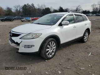 2009 Mazda CX-9 Touring with VIN JM3TB28A990180079, listed as a Copart auction lot 85053444 with 279,434 mi miles and Salvage Title. Bid and sale history available at carsss.com. Image 1.