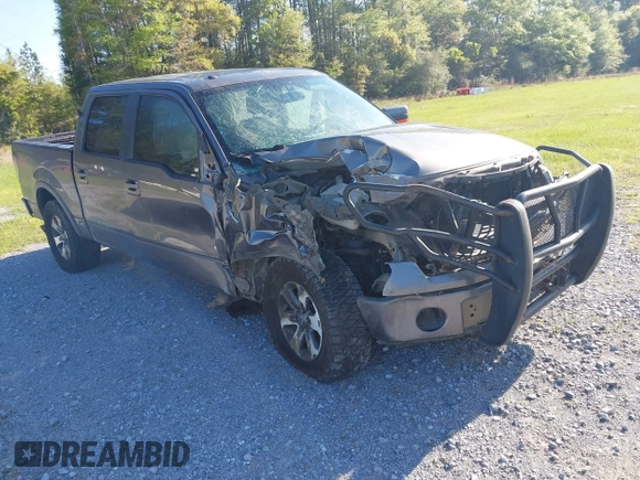 2014 Ford F-150 XL with VIN 1FTFW1ET9EFB66765, listed as a IAAI auction lot 41992543 with Not Provided miles and . Bid and sale history available at DreamBid. Image 1.