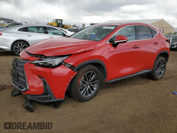 2023 Lexus NX 350 with VIN 2T2AGCEZXPC023404, listed as a Copart auction lot 54760225 with 13,538 mi miles and Salvage title. Bid and sale history available at DreamBid. Image 1.