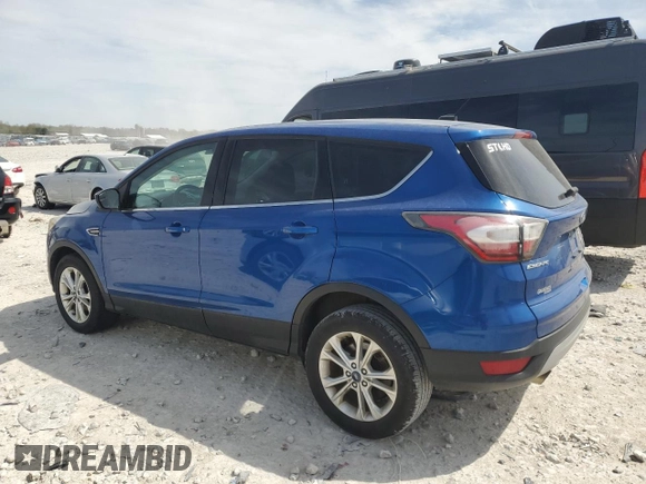 2017 Ford Escape SE with VIN 1FMCU0GD8HUA13184, listed as a Copart auction lot 55065155 with 133,299 mi miles and Clean Title. Bid and sale history available at DreamBid. Image 2.