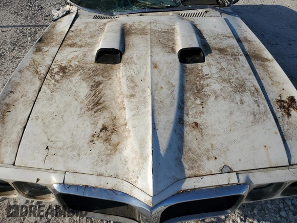 1969 Pontiac Firebird with VIN 223379U134459, listed as a Copart auction lot 60249995 with Not provided miles and Clean title. Bid and sale history available at DreamBid. Image 11.