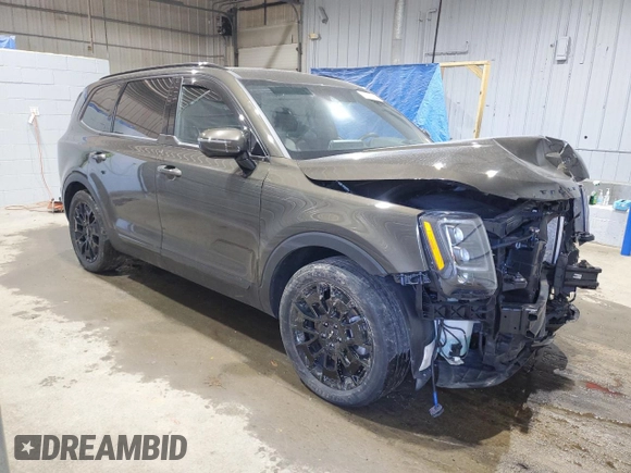 2022 Kia Telluride SX with VIN 5XYP5DHC2NG276672, listed as a Copart auction lot 53269885 with 44,780 mi miles and Salvage title. Bid and sale history available at DreamBid. Image 4.