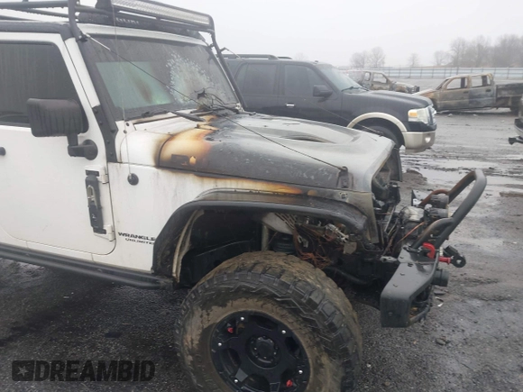 2016 Jeep Wrangler Unlimited Rubicon with VIN 1C4BJWFGXGL185227, listed as a IAAI auction lot 41555159 with 1 mi miles. Bid and sale history available at carsss.com. Image 15.