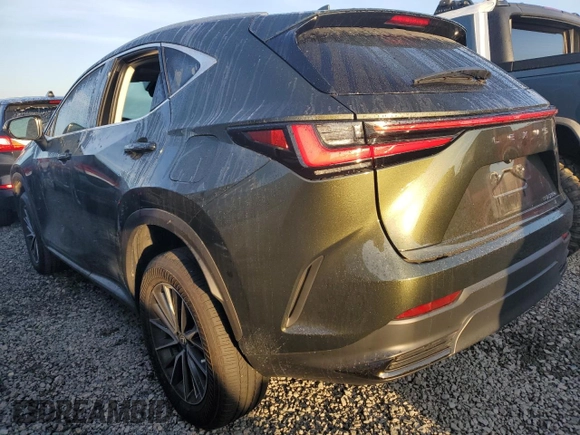 2022 Lexus NX with VIN 2T2ADCAZ4NC002446, listed as a Copart auction lot 73936134 with 11,751 mi miles and Salvage Title. Bid and sale history available at carsss.com. Image 2.