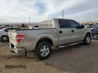2009 Ford F-150 XL with VIN 1FTPW12V19KC53762, listed as a Copart auction lot 45317785 with 168,184 mi miles and Salvage Title. Bid and sale history available at carsss.com. Image 3.