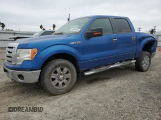 2009 Ford F-150 XL with VIN 1FTRW14839KB36488, listed as a Copart auction lot 44341515 with 243,748 mi miles and Salvage Title. Bid and sale history available at carsss.com. Image 1.