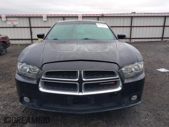 2014 Dodge Charger SXT with VIN 2C3CDXJG2EH243662, listed as a IAAI auction lot 41812674 with 114,108 mi miles. Bid and sale history available at carsss.com. Image 12.