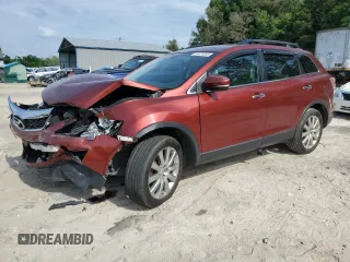 2010 Mazda CX-9 Touring with VIN JM3TB2MA7A0219441, listed as a Copart auction lot 55479355 with 166,162 mi miles and Salvage title. Bid and sale history available at DreamBid. Image 1.