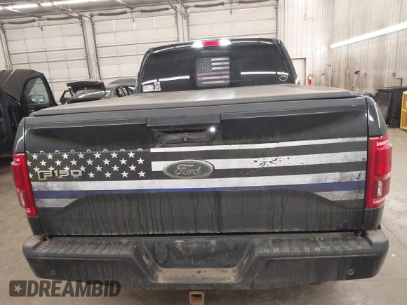 2015 Ford F-150 XLT w/HD Payload Pkg with VIN 1FTFW1EGXFFA39852, listed as a IAAI auction lot 41769971 with 163,929 mi miles. Bid and sale history available at carsss.com. Image 17.
