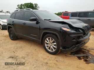 2016 Jeep Cherokee Limited with VIN 1C4PJLDS8GW207378, listed as a Copart auction lot 57309855 with 202,432 mi miles and Salvage title. Bid and sale history available at DreamBid. Image 4.