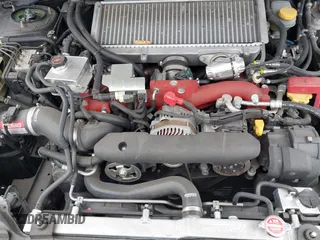 2019 Subaru WRX STI with VIN JF1VA2R68K9805464, listed as a IAAI auction lot 41724272 with 81,843 mi miles. Bid and sale history available at carsss.com. Image 10.