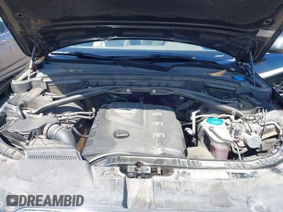 2013 Audi Q5 Premium Plus with VIN WA1LFAFP7DA056243, listed as a IAAI auction lot 42419318 with 53,053 mi miles and . Bid and sale history available at DreamBid. Image 10.