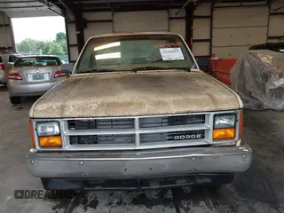 1987 Dodge Dakota z VIN 1B7GN14M1HS486188, wystawiony jako IAAI lot #42290899 z przebiegiem 100 085 mil mil oraz . Historia ofert i sprzedaży dostępna na DreamBid. Obrazek 6.