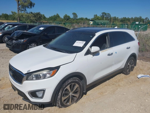 2017 Kia Sorento EX V6 with VIN 5XYPH4A54HG192831, listed as a IAAI auction lot 41723220 with 115,948 mi miles. Bid and sale history available at carsss.com. Image 14.