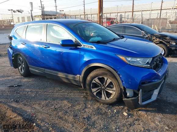 2021 Honda CR-V Special Edition with VIN 7FARW2H7XME033683, listed as a IAAI auction lot 41447124 with 39,234 mi miles. Bid and sale history available at carsss.com. Image 1.