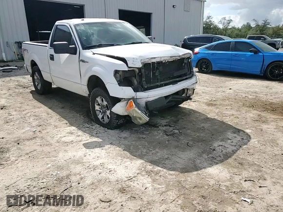 2013 Ford F-150 XL with VIN 1FTMF1EF1DFA51044, listed as a Copart auction lot 79561474 with 191,122 mi miles and Salvage Title. Bid and sale history available at DreamBid. Image 14.