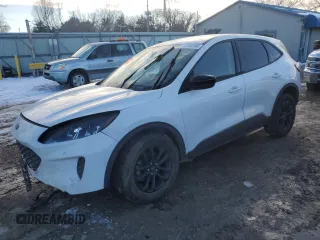 2020 Ford Escape SE Sport Hybrid with VIN 1FMCU9BZ0LUB10007, listed as a Copart auction lot 87134194 with Not provided miles and Salvage title. Bid and sale history available at DreamBid. Image 1.