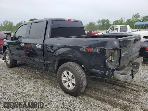 2016 Ford F-150 XLT with VIN 1FTEW1EG7GKD00973, listed as a Copart auction lot 56011785 with 128,344 mi miles and Salvage title. Bid and sale history available at DreamBid. Image 2.
