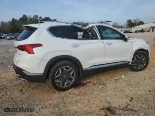 2021 Hyundai Santa Fe Limited with VIN 5NMS44AL7MH316966, listed as a Copart auction lot 45665785 with 60,176 mi miles and Salvage Title. Bid and sale history available at carsss.com. Image 3.