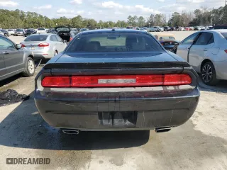 2010 Dodge Challenger R/T with VIN 2B3CJ5DT6AH314925, listed as a Copart auction lot 43913135 with 133,163 mi miles and Salvage Title. Bid and sale history available at carsss.com. Image 6.