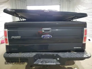 2014 Ford F-150 XL with VIN 1FTEX1EM2EFB44866, listed as a Copart auction lot 57209585 with Not provided miles and Clean title. Bid and sale history available at DreamBid. Image 6.