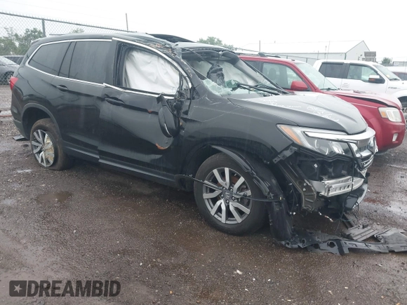 2021 Honda Pilot EX-L with VIN 5FNYF6H59MB021022, listed as a IAAI auction lot 42713636 with Not provided miles and . Bid and sale history available at DreamBid. Image 1.