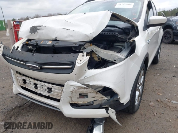 2014 Ford Escape SE with VIN 1FMCU0GX6EUD43105, listed as a IAAI auction lot 41728686 with 95,729 mi miles. Bid and sale history available at carsss.com. Image 6.