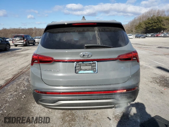 2021 Hyundai Santa Fe SE with VIN 5NMS1DAJ4MH326412, listed as a Copart auction lot 88393845 with 136,114 mi miles and Salvage Title. Bid and sale history available at carsss.com. Image 6.