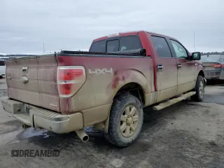 2014 Ford F-150 XL with VIN 1FTFW1EF2EFB24075, listed as a Copart auction lot 47762105 with Not Provided miles and Salvage Title. Bid and sale history available at carsss.com. Image 3.