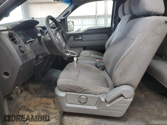 2013 Ford F-150 XL with VIN 1FTFX1EF9DFA16015, listed as a Copart auction lot 46990295 with 244,997 mi miles and Salvage Title. Bid and sale history available at carsss.com. Image 7.
