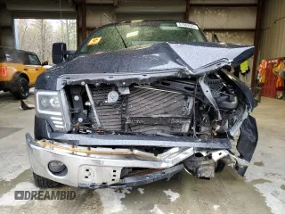 2010 Ford F-150 XL with VIN 1FTEX1E83AFA07593, listed as a Copart auction lot 51984025 with 210,405 mi miles and Salvage Title. Bid and sale history available at carsss.com. Image 5.