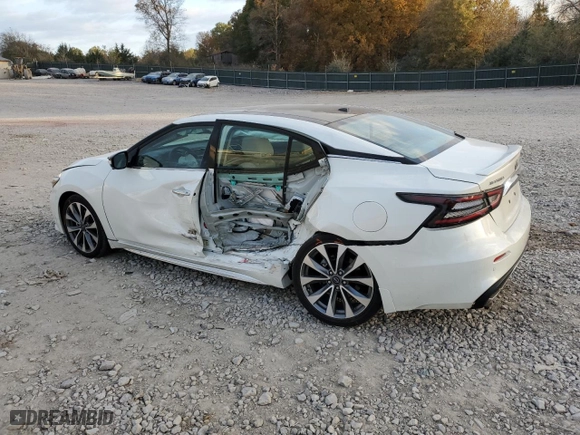 2023 Nissan Maxima Platinum with VIN 1N4AA6FV2PC503776, listed as a Copart auction lot 78817124 with 12,579 mi miles and Salvage Title. Bid and sale history available at carsss.com. Image 2.