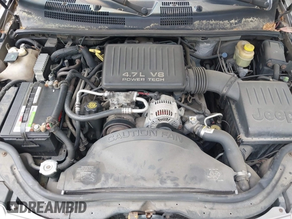 1999 Jeep Grand Cherokee Limited with VIN 1J4GW68N5XC684157, listed as a IAAI auction lot 42104283 with 164,506 mi miles. Bid and sale history available at carsss.com. Image 10.