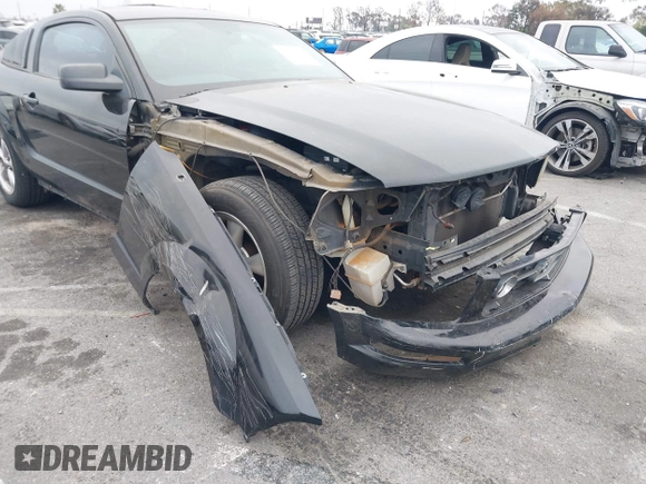 2009 Ford Mustang with VIN 1ZVHT80N495139131, listed as a IAAI auction lot 42019441 with 195,952 mi miles and . Bid and sale history available at carsss.com. Image 6.