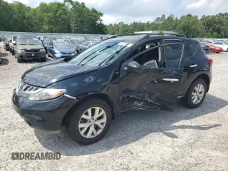 2013 Nissan Murano LE z VIN JN8AZ1MU0DW204205, wystawiony jako Copart lot #56292995 z przebiegiem 219 816 mil mil oraz Szkoda całkowita • Salvage title. Historia ofert i sprzedaży dostępna na DreamBid. Obrazek 1.