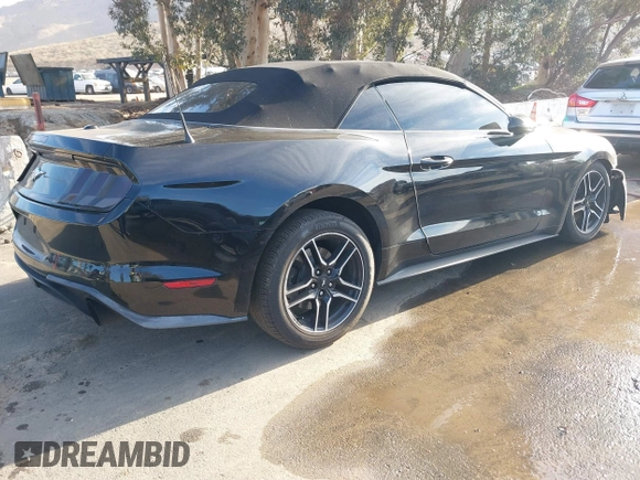 2022 Ford Mustang EcoBoost with VIN 1FATP8UH7N5131062, listed as a IAAI auction lot 41594398 with 30,982 mi miles and . Bid and sale history available at DreamBid. Image 4.