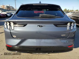 2021 Ford Mustang Mach-E California Route 1 with VIN 3FMTK2R77MMA09716, listed as a Copart auction lot 88366315 with 29,501 mi miles and Salvage Title. Bid and sale history available at DreamBid. Image 6.