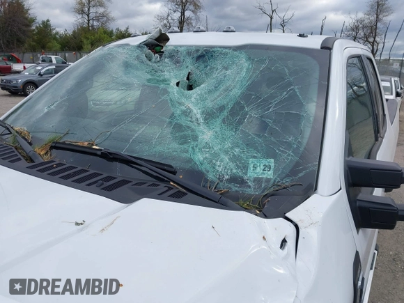 2024 Ford F-250 XL с VIN 1FT7X2BN5RED47418, выставлен на аукционе IAAI как лот 42049571 с пробегом 3 834 миль миль и . История ставок и продаж доступна на DreamBid. Изображение 17.