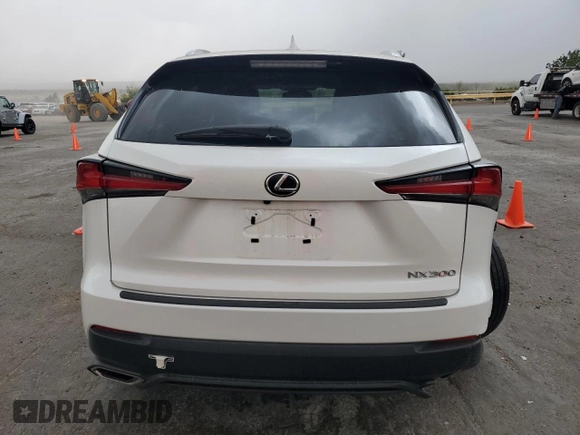 2019 Lexus NX 300 with VIN JTJBARBZ7K2184749, listed as a Copart auction lot 61654225 with 66,571 mi miles and Salvage title. Bid and sale history available at DreamBid. Image 6.