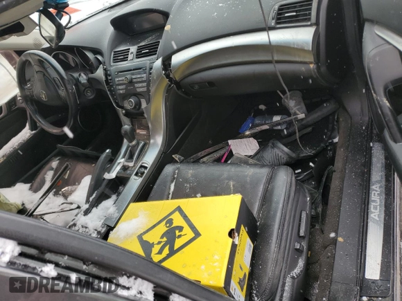 2010 Acura TL with VIN 19UUA8F27AA801169, listed as a Copart auction lot 88794555 with 0 mi miles and Salvage Title. Bid and sale history available at carsss.com. Image 8.