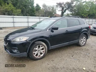 2014 Mazda CX-9 Touring with VIN JM3TB3CV2E0446729, listed as a Copart auction lot 60991155 with 116,385 mi miles and Salvage title. Bid and sale history available at DreamBid. Image 1.