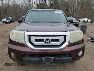 2011 Honda Pilot EX-L with VIN 5FNYF4H57BB501674, listed as a Copart auction lot 50829845 with 0 mi miles and Clean Title. Bid and sale history available at carsss.com. Image 5.