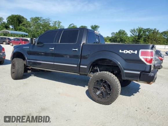 2010 Ford F-150 XL with VIN 1FTFW1EV7AFD74218, listed as a Copart auction lot 61984735 with 173,577 mi miles and Salvage title. Bid and sale history available at DreamBid. Image 2.