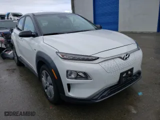 2019 Hyundai Kona Electric SEL with VIN KM8K23AGXKU054865, listed as a Copart auction lot 42518663 with NaN miles. Bid and sale history available at carsss.com. Image 4.