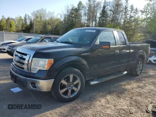 2009 Ford F-150 STX with VIN 1FTRX128X9FA13330, listed as a Copart auction lot 56213825 with 243,311 mi miles and Clean title. Bid and sale history available at DreamBid. Image 1.