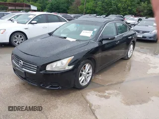2009 Nissan Maxima SV with VIN 1N4AA51E19C806374, listed as a IAAI auction lot 42186924 with 215,930 mi miles and . Bid and sale history available at DreamBid. Image 2.