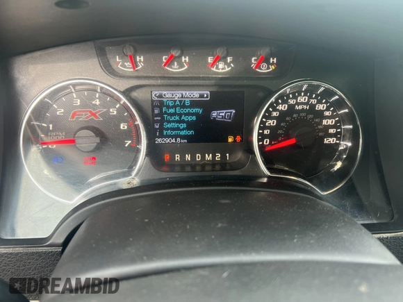 2013 Ford F-150 XL with VIN 1FTFW1EF9DKD50104, listed as a IAAI auction lot 42288872 with 262,904 mi miles and . Bid and sale history available at DreamBid. Image 6.