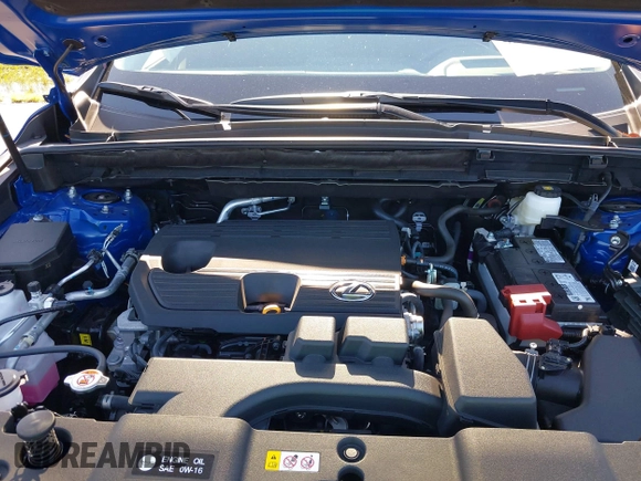 2025 Lexus NX 250 Premium with VIN 2T2GDCAZ9SC024917, listed as a IAAI auction lot 42266349 with 1,343 mi miles and . Bid and sale history available at DreamBid. Image 10.