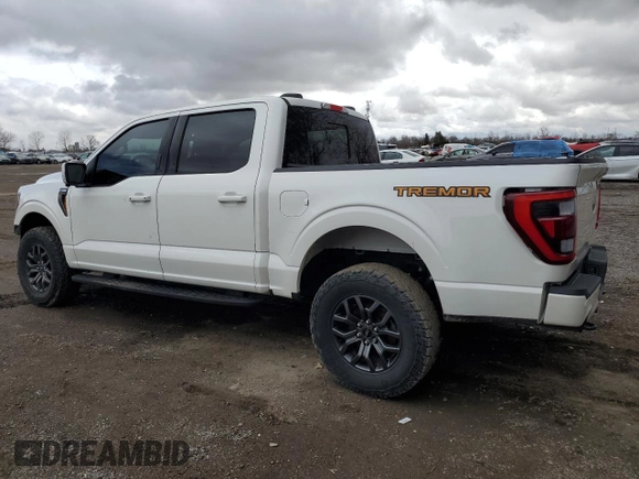 2023 Ford F-150 XL with VIN 1FTEW1E8XPFB78868, listed as a Copart auction lot 52599475 with 69,014 mi miles and Clean title. Bid and sale history available at DreamBid. Image 2.
